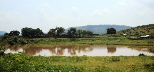 water-wise-1
