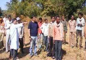 diversion based 1